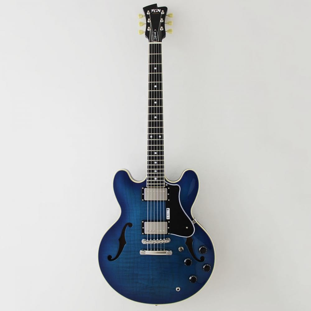Amazon | FUJIGEN MSA-HP/BBT Masterfield MSA セミアコギター